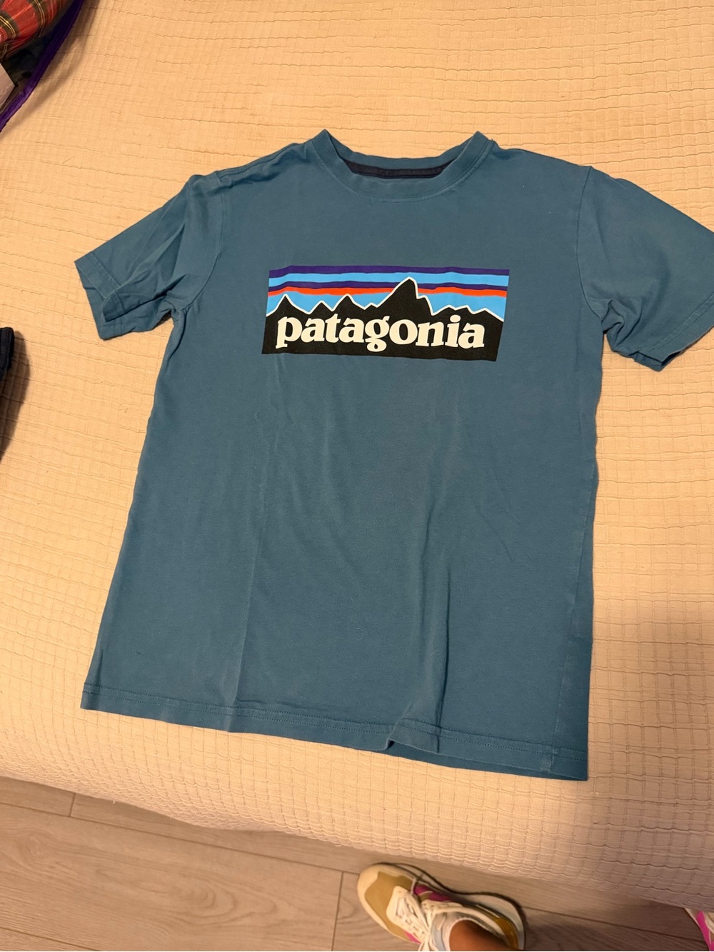 Patagonia Blue Short Sleeve Logo Tee with Multicolor Graphic